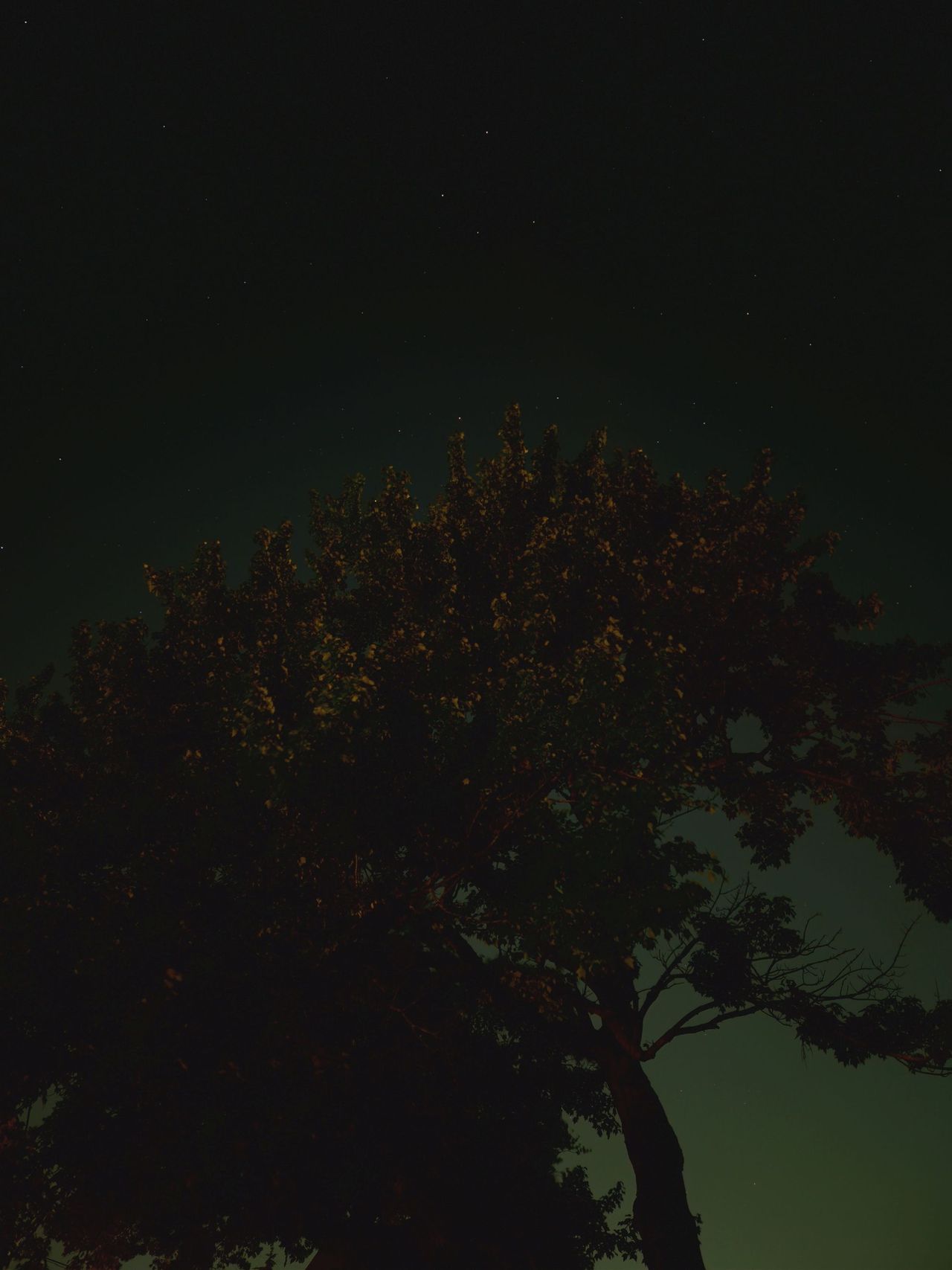 Galaxy Z Flip 7 astrophotography sample.