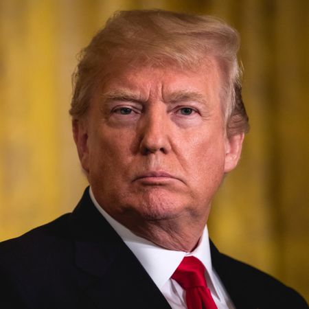 Stormy Daniels' Lawyer Says 6 More Women Claim to Have Had Secret Sexual Affairs With Donald Trump