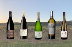 Languedoc wines under £20 - value collage