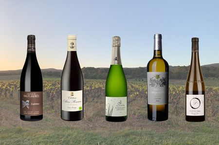 Languedoc wines under £20 - value collage