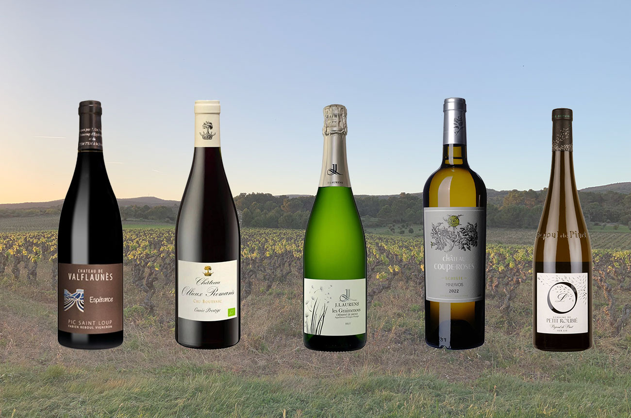 Languedoc wines under &pound;20 - value collage