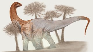 We see an illustration of a long-necked titanosaur dinosaur standing in front of four trees. The image is gray and reddish.