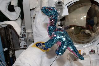 "Tremor," the Demo-2 dinosaur, was chosen by Doug Hurley's and Bob Behnken's sons as the mission's "zero-g indicator."