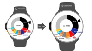 Global Smartwatch market