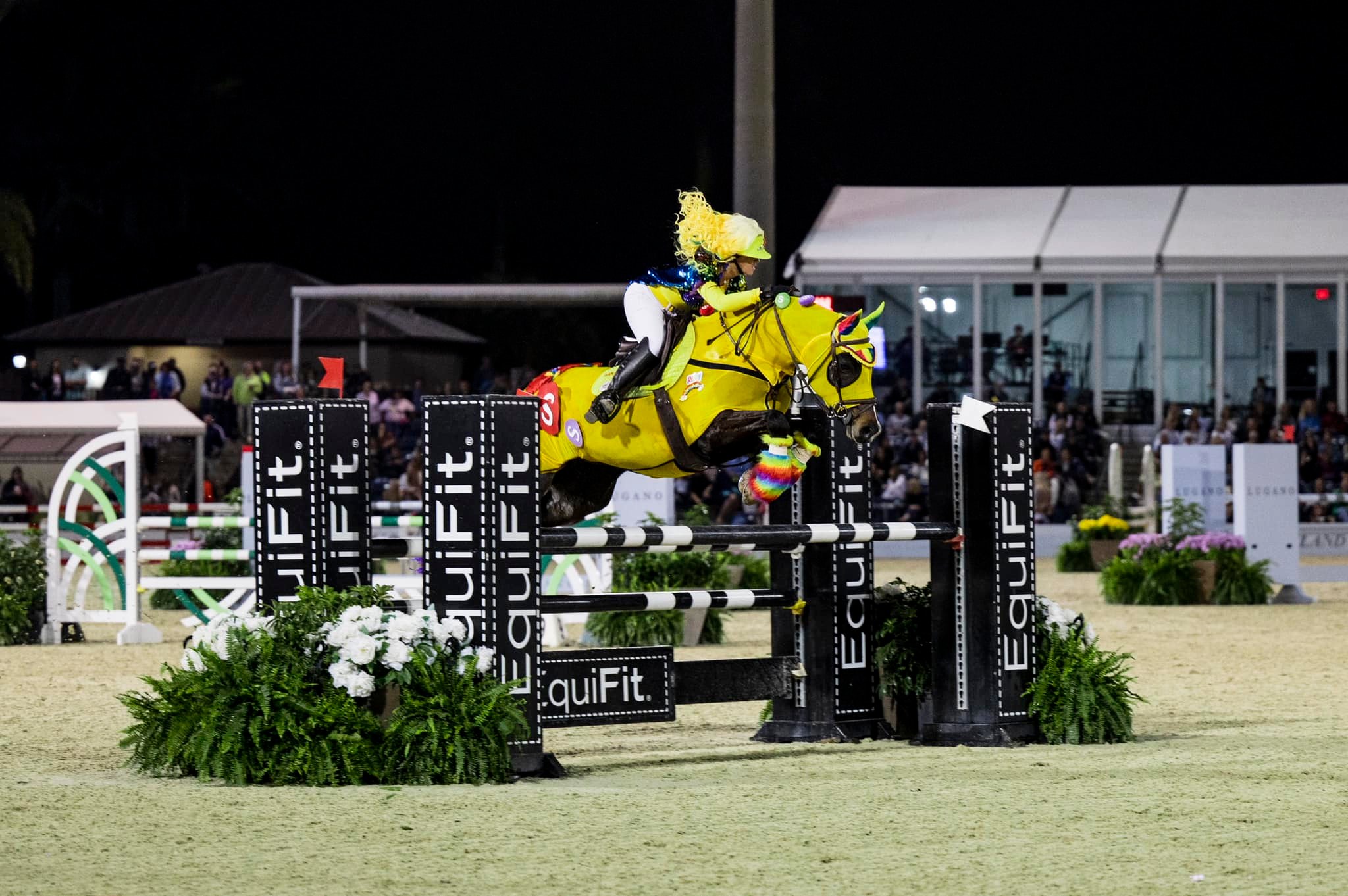 Great Charity Challenge fancy dress at WEF, Florida