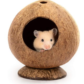 andwe Coconut Hut Hamster House Bed