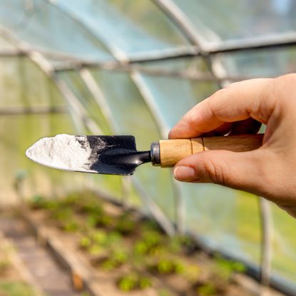 Baking soda on a trowel