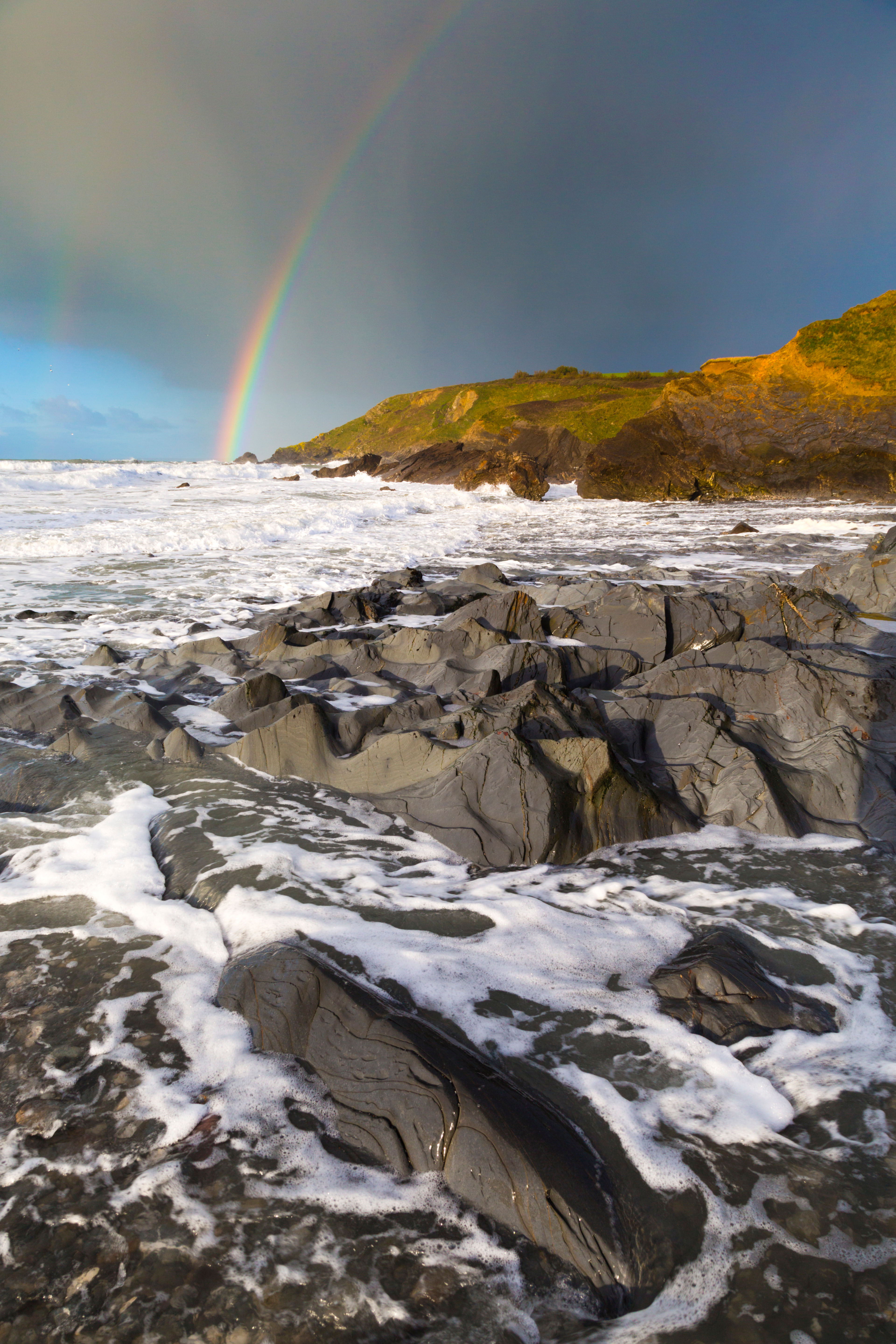Dollar Cove