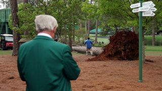 An Augusta National member looks at a fallen tree at the course