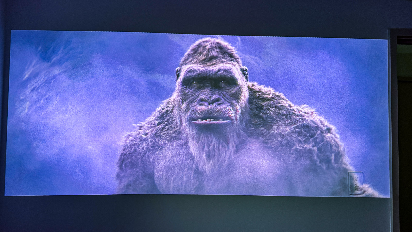 A scene from Kong Skull Island projected onto a wall.
