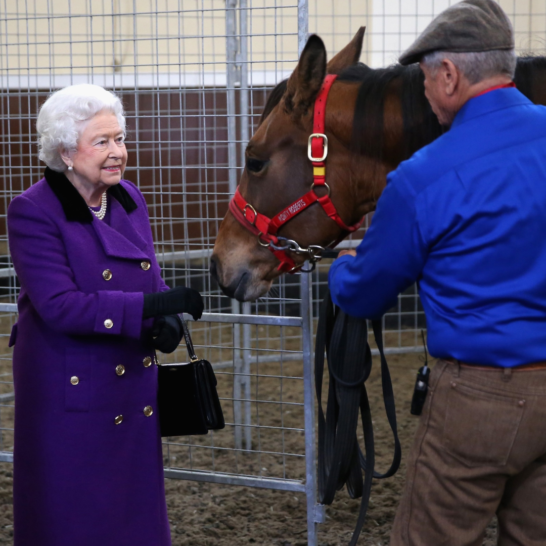 Queen Elizabeth in a purple coat smiling at a horse held by Monty Roberts