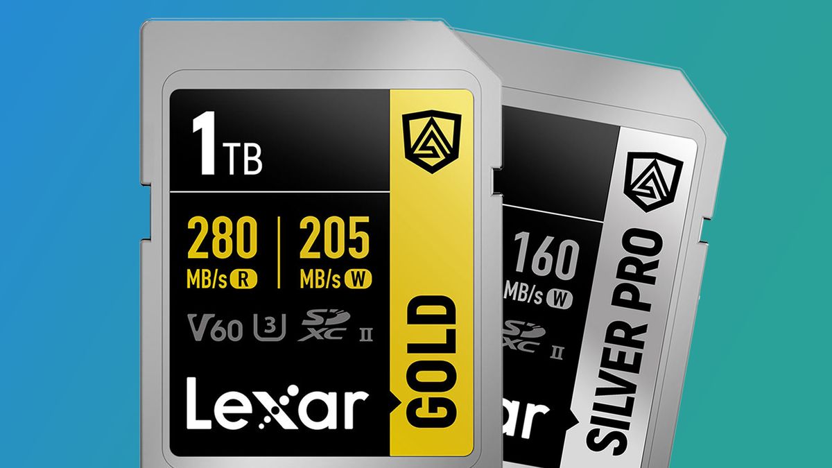 Two Lexar Armor SD cards on a blue and green background