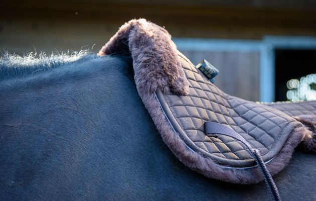 Caldene Sheepskin half pad review