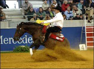 reining.jpg