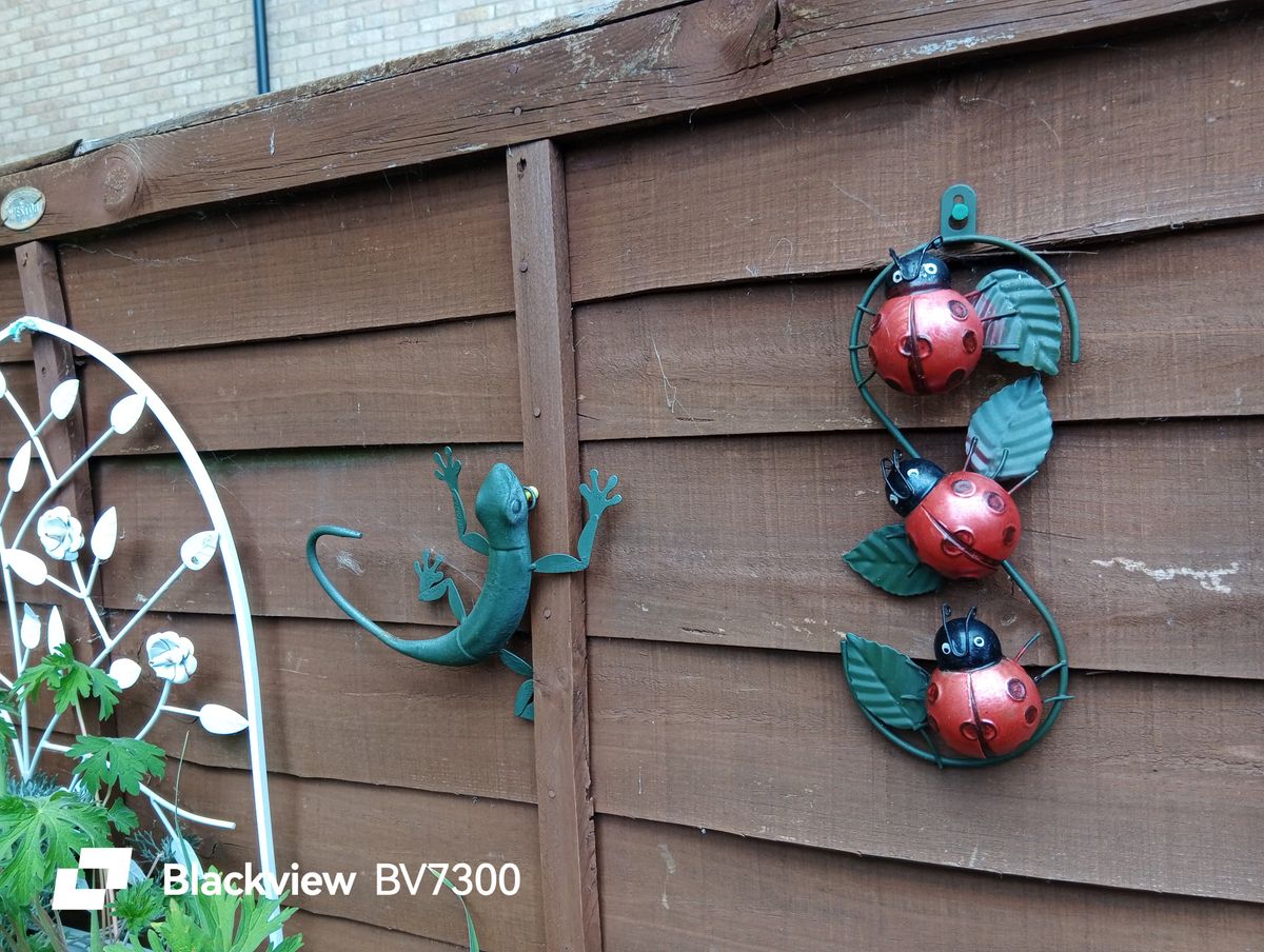 Blackview BV7300 Example images