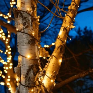 Pro Link Connectable Outdoor LED Fairy String Lights