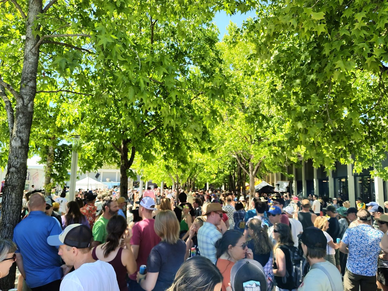People crowded outside under trees