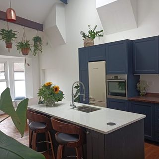 blue kitchen with island and hanging plants