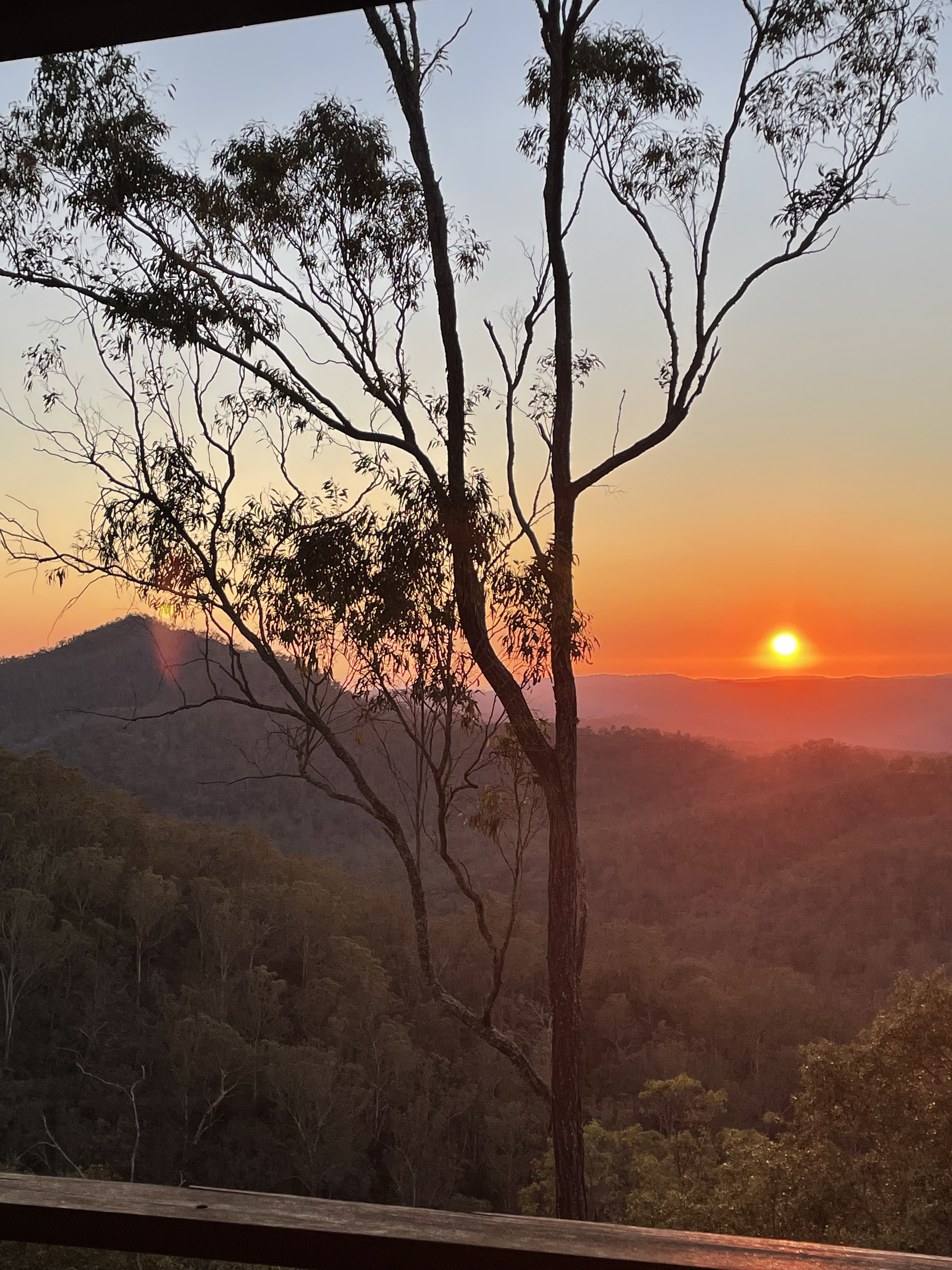 GuruShots - February 2026