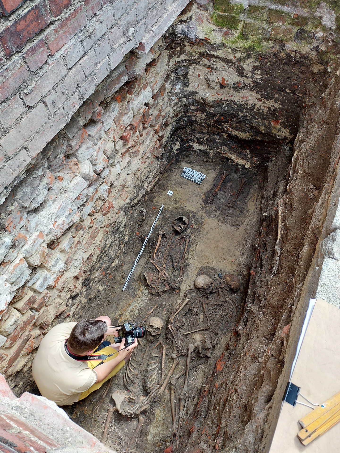 A look down into a long, rectangular burial pit where several half-unearthed skeletons look up. A man crouches in the bottom left of the pit.