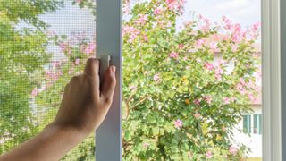 Window screen to suggest how to keep mosquitoes away