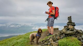 dog and woman on a peak next to a cairn checking a map