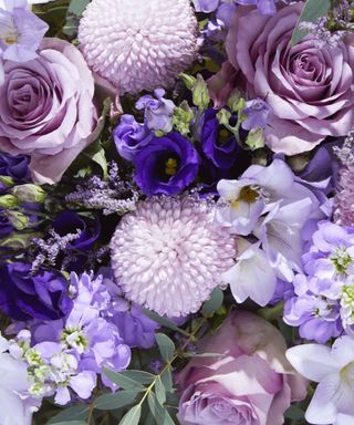 close up of bouquet of purple flowers