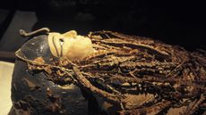 The royal mummy of Amenhotep I, the second pharaoh of the 18th dynasty, in April 2006, at Cairo Museum, Egypt.