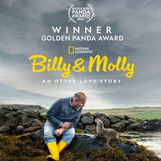 A poster of the documentary Billy & Molly about a man and an otter