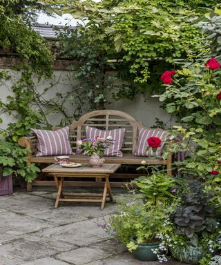 A garden bench with cushions and accompanying table in a quiet nook surrounded by vibrant potted and climbing plants