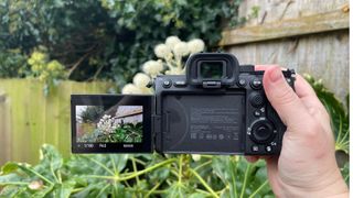 Sony A7S III review: Battery