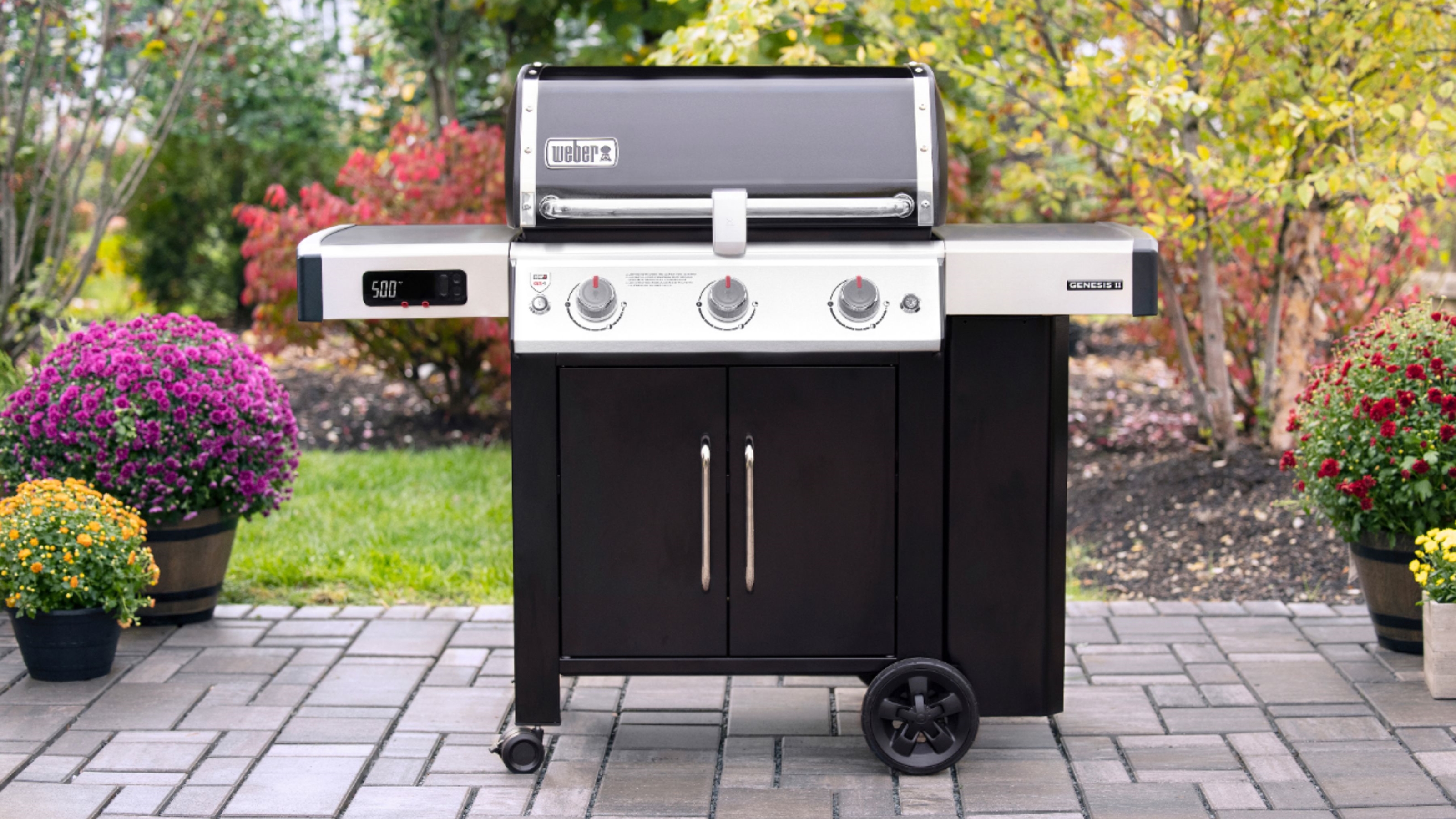 The 3 Best Gas Grills of 2024