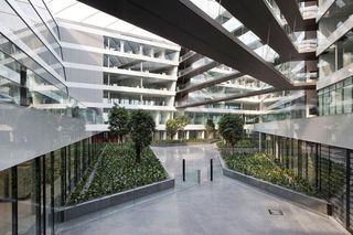 plants and trees in the open atrium with seating in the adidas hq
