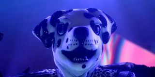 The Dalmatian getting groomed by security before The Masked Singer Season 6 officially kicks off