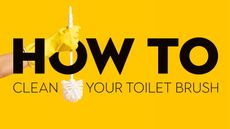 Yellow graphic with 'How to clean a toilet brush' wording and hand in yellow rubber glove holding white toilet brush