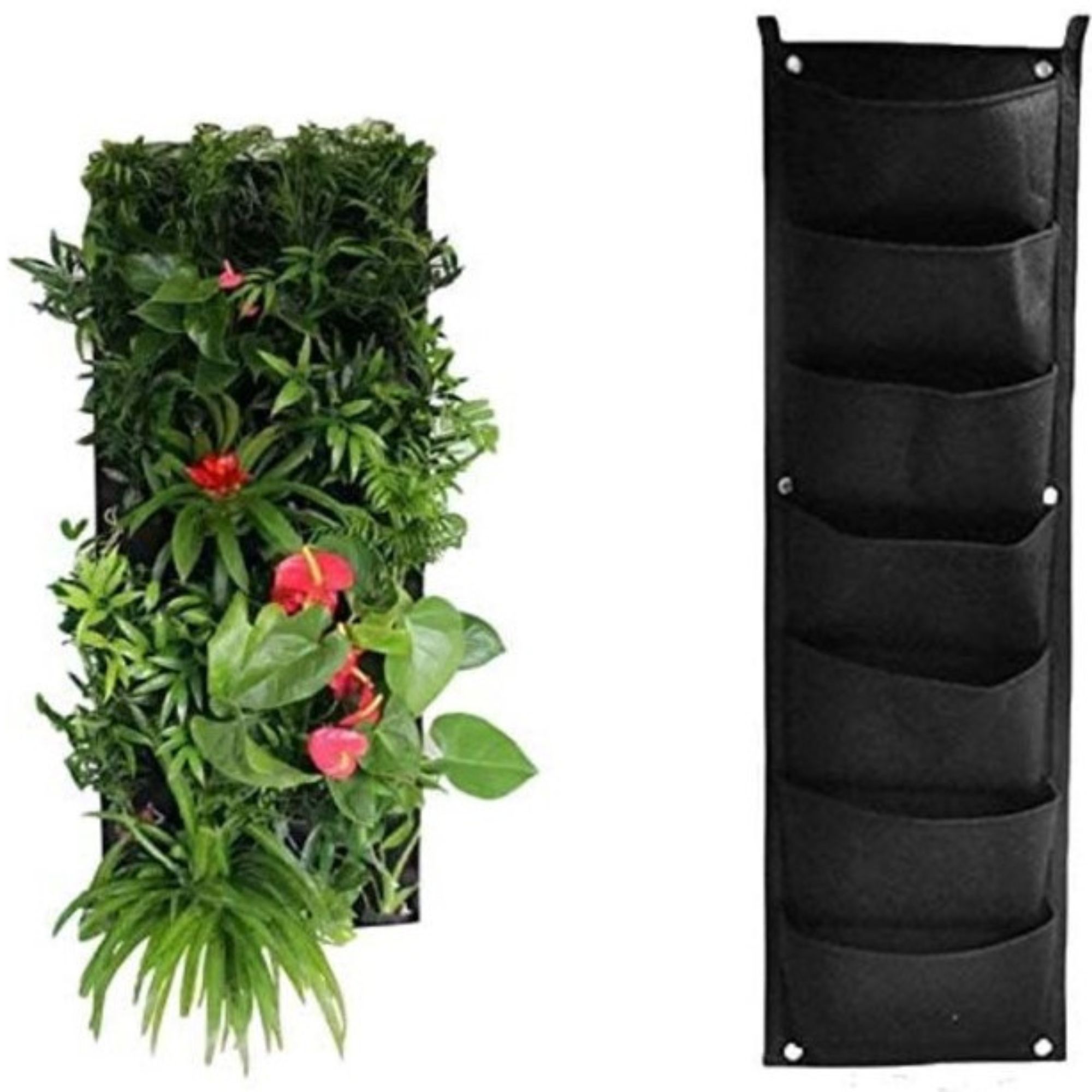 Carrie Underwood's vertical wall is a new way to grow plants | Homes ...