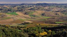 Brunello di Montalcino