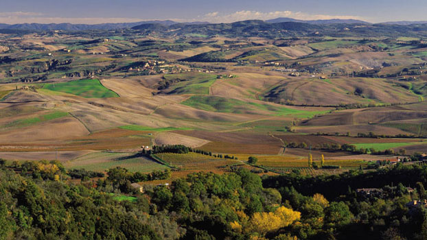 Brunello di Montalcino