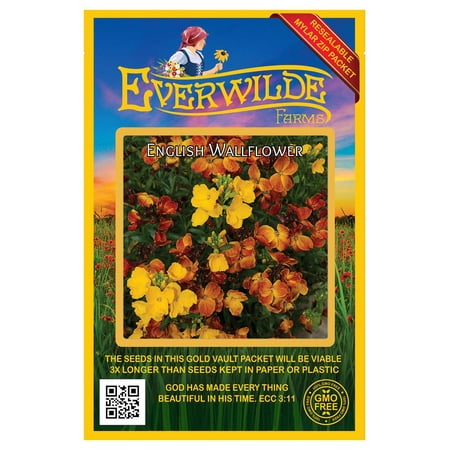 Everwilde Farms - 1000 English Wallflower Garden Flower Seeds - Gold Vault Jumbo Bulk Seed Packet