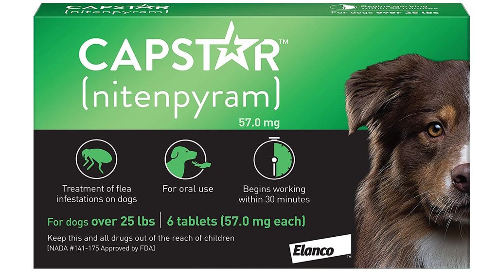 Best Flea Medication For Dogs: Pills To Keep Away Critters | PetsRadar