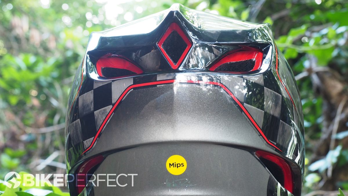 Troy Lee Designs D4 Carbon Helmet