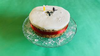 Last Minute Emergency Christmas Cake - Easy Peasy Foodie