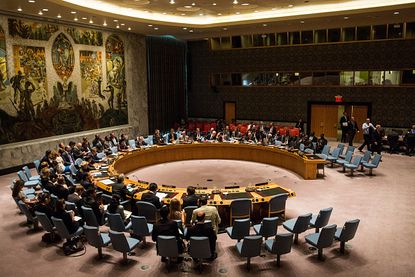 The U.N. Security Council.