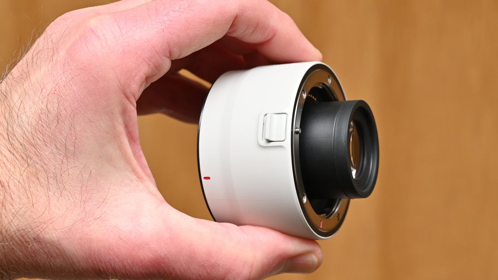 Canon Extender RF 2x review: double your telephoto reach and close-up ...