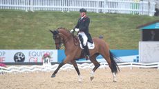 Team dressage World Championships: Gareth Hughes and Classic Briolinca represent Britain