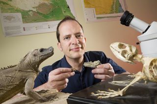 University of Nebraska-Lincoln paleontologist Jason Head holds a fossil and a fossil cast from the jaw of the Eocene lizard Barbaturex morrisoni.