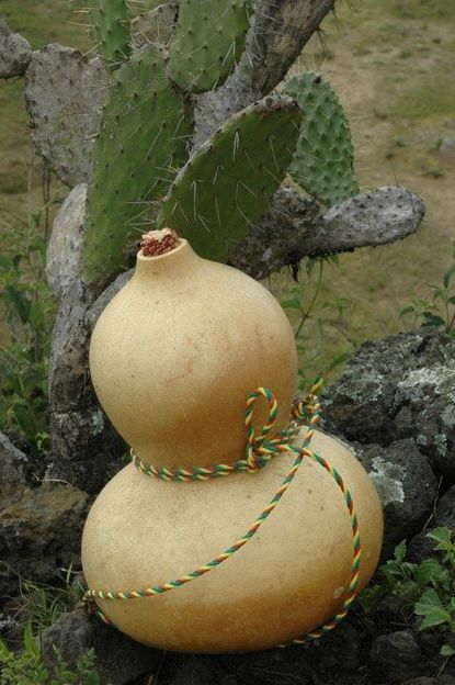 Water Canteen Made From Dried Gourds