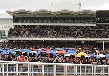 Cheltenham-stands.jpg