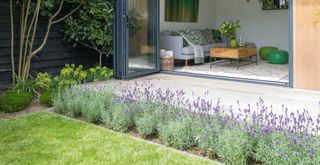 Garden with lavender planted borders with a furnished garden room visible beyond