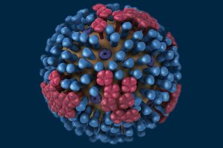 Image result for flu virus